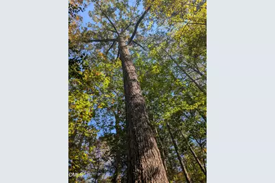 1417 Poinsett Drive, Chapel Hill, NC 27517 - Photo 9