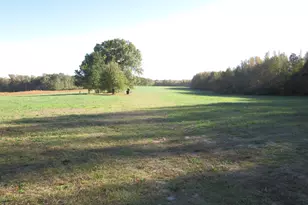 10 26 Acre 561 Hwy, Louisburg, NC 27549 - Photo 1