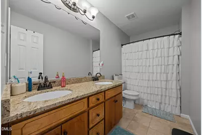 262 River Birch Run, Coats, NC 27521 - Photo 39