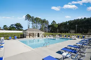 169 Fishing Pier Wy, Lillington, NC 27546 - Photo 29