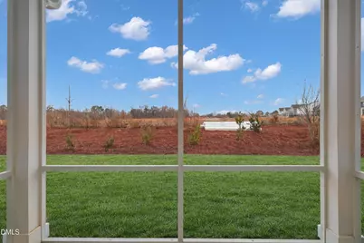 68 Blossom Field Way, Angier, NC 27501 - Photo 3