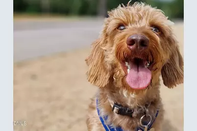 620 Hedrick Rdg Road #102, Cary, NC 27519 - Photo 31