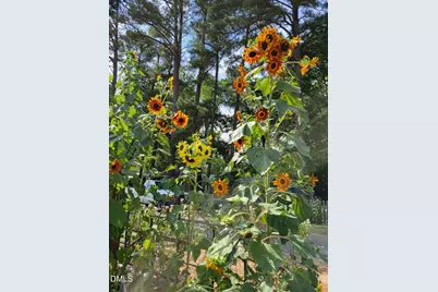 2811 Omah Street, Durham, NC 27705 - Photo 57