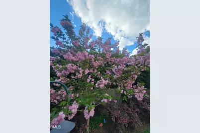 2811 Omah Street, Durham, NC 27705 - Photo 65