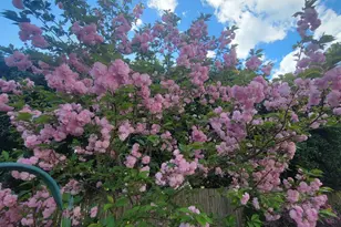 2811 Omah St, Durham, NC 27705 - Photo 65