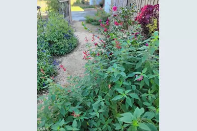 2811 Omah Street, Durham, NC 27705 - Photo 53