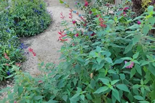 2811 Omah St, Durham, NC 27705 - Photo 53