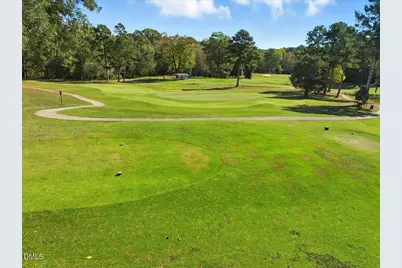 254 Pine Forest Drive, Siler City, NC 27344 - Photo 13