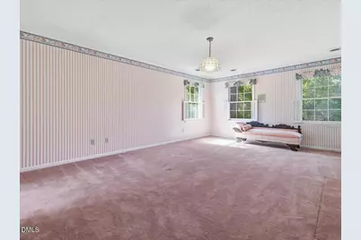 254 Pine Forest Drive, Siler City, NC 27344 - Photo 53