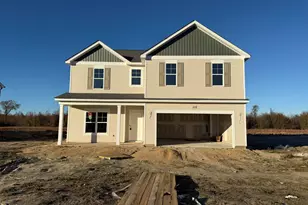 4025 Blue Springs Rd, Red Springs, NC 28377 - Photo 1