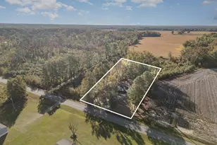 768 Hales Rd, Kenly, NC 27542 - Photo 23