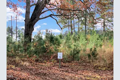 73 Pinnacle Shores Drive, Macon, NC 27551 - Photo 11