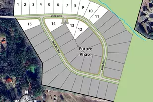 237 Dona Dr, Carthage, NC 28327 - Photo 39