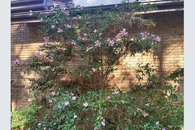 5008 Butternut Road, Durham, NC 27707 - Photo 67