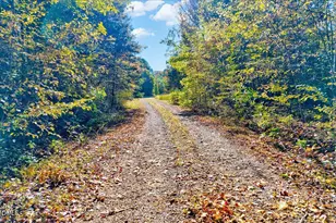 8545 Grassy Creek Rd, Oxford, NC 27565 - Photo 33