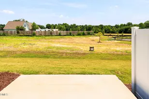 44 Twin Birch Dr, Angier, NC 27501 - Photo 45