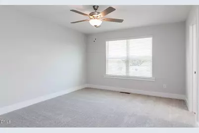 44 Twin Birch Drive, Angier, NC 27501 - Photo 49