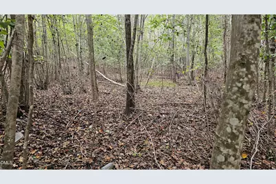 0 Gilliland Street, Warrenton, NC 27589 - Photo 1