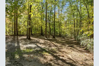 9909 Leslie Drive, Chapel Hill, NC 27516 - Photo 39