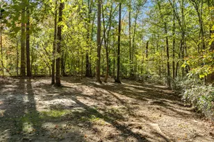 9909 Leslie Dr, Chapel Hill, NC 27516 - Photo 39