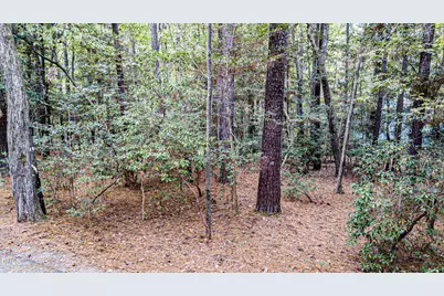 1326 California Place, Sanford, NC 27332 - Photo 3