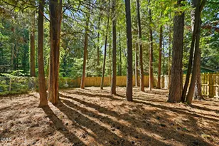 4 Little Springs Ln, Durham, NC 27707 - Photo 29