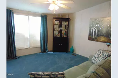 3047 Strickland Drive, Bullock, NC 27507 - Photo 9