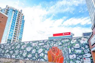 501 S Bloodworth St, Raleigh, NC 27601 - Photo 53