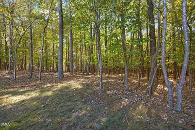 15 Marlowe Drive, Youngsville, NC 27596 - Photo 37