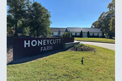 125 Alumroot Road, Holly Springs, NC 27540 - Photo 35