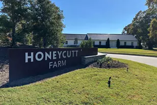 125 Alumroot Rd, Holly Springs, NC 27540 - Photo 35