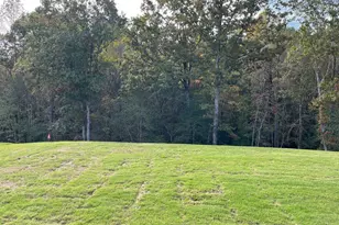 1037 Red Finch Wy, Angier, NC 27501 - Photo 41