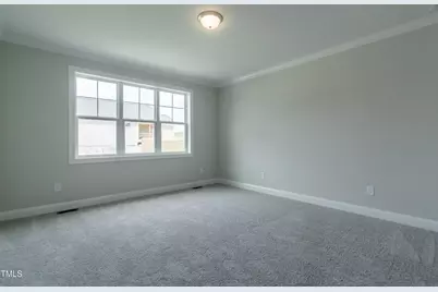 169 Big Bradley Drive, Wendell, NC 27591 - Photo 11