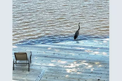 635 Sagamore Drive, Louisburg, NC 27549 - Photo 33