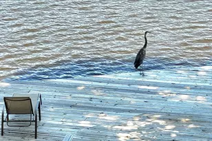 635 Sagamore Dr, Louisburg, NC 27549 - Photo 33