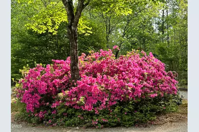 7508 Hazelhurst Circle, Apex, NC 27502 - Photo 57