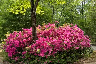 7508 Hazelhurst Cir, Apex, NC 27502 - Photo 57