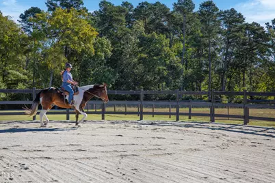 8589 McGhees Mill Road, Semora, NC 27343 - Photo 49