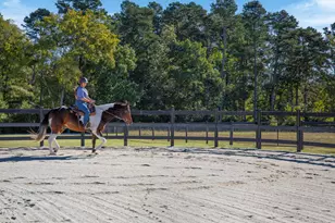 8589 McGhees Mill Rd, Semora, NC 27343 - Photo 49