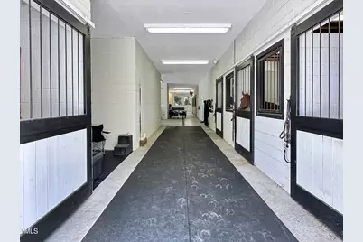 8589 McGhees Mill Road, Semora, NC 27343 - Photo 59