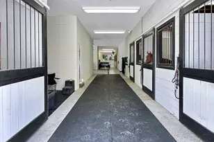 8589 McGhees Mill Rd, Semora, NC 27343 - Photo 57