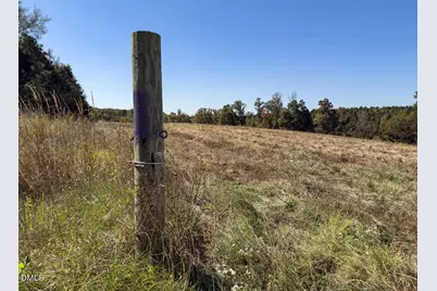 00 Ephesus Church Road, Semora, NC 27343 - Photo 15