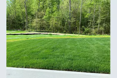 1249 Turkey Trot Road, Wendell, NC 27591 - Photo 29