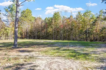 476 Placid Pond Drive, Broadway, NC 27505 - Photo 31