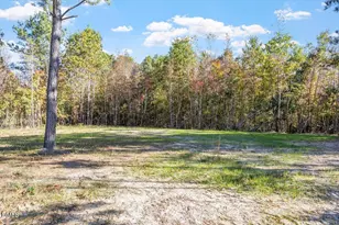 476 Placid Pond Dr, Broadway, NC 27505 - Photo 31