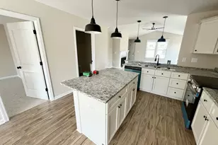 52 Grace Pond Ave, Benson, NC 27504 - Photo 9