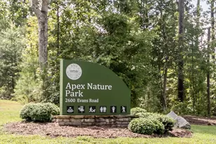 2701 Sugar Mountain Way, Apex, NC 27502 - Photo 33