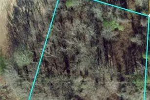 0 Five Bridge Rd, Clinton, NC 28328 - Photo 1