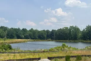 67 Bainbridge, Angier, NC 27501 - Photo 3