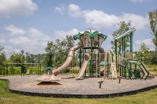 1101 Rhino Bnd, Oxford, NC 27565 - Photo 15